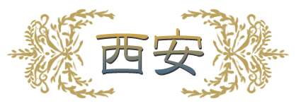 �n�}����T��