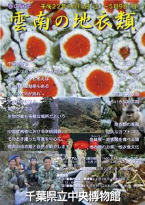 yunnan_lichen_leaflet1.gif