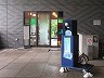 漂う水