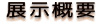 展示概要