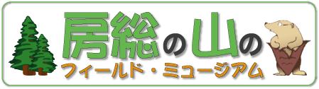 �[���̎R�̃t�B�[���h�E�~���[�W�A��