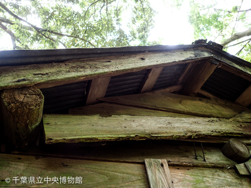 クロトサカシバンムシの食害痕のある小屋