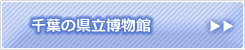 「千葉の県立博物館」