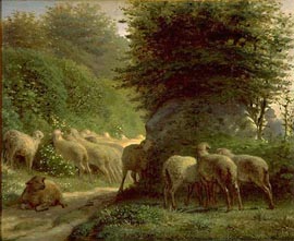 『垣根に沿って草を食む羊』