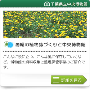 房総の植物誌づくりと中央博物館