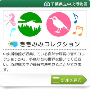 ききみみコレクション