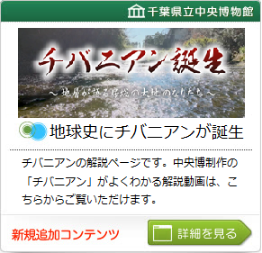 地球史にチバニアンが誕生