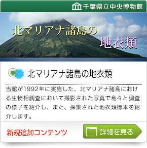 北マリアナ諸島の地衣類