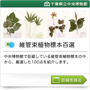 維管束植物標本百選