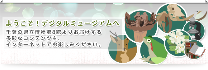 ようこそ！デジタルミュージアムへ 千葉の県立博物館8館よりお届けする多彩なコンテンツを、インターネットでお楽しみください。