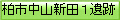 柏市中山新田１遺跡