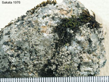 cl