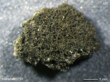 ph