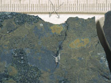 ph