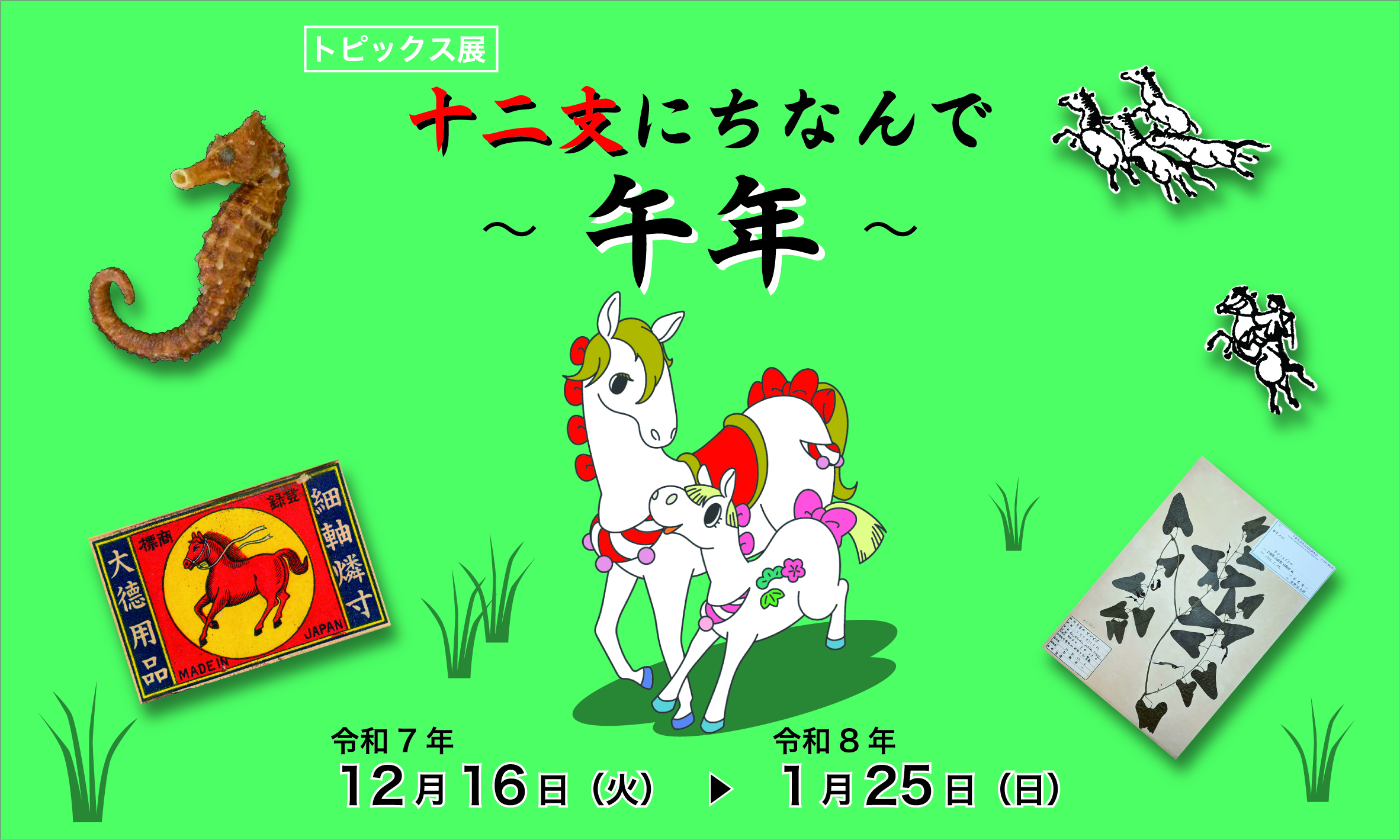 R7トピックス展　十二支にちなんで　－午年－