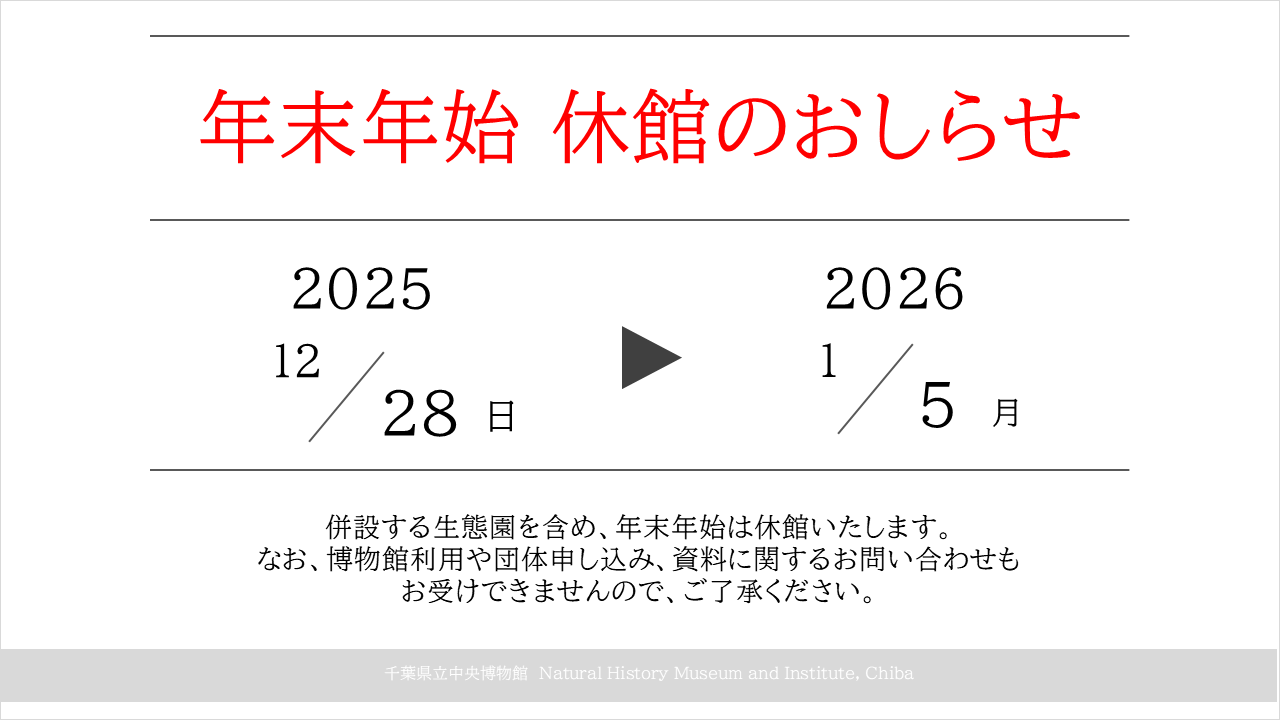 年末年始 休館（１２月２８日～１月５日）のおしらせ