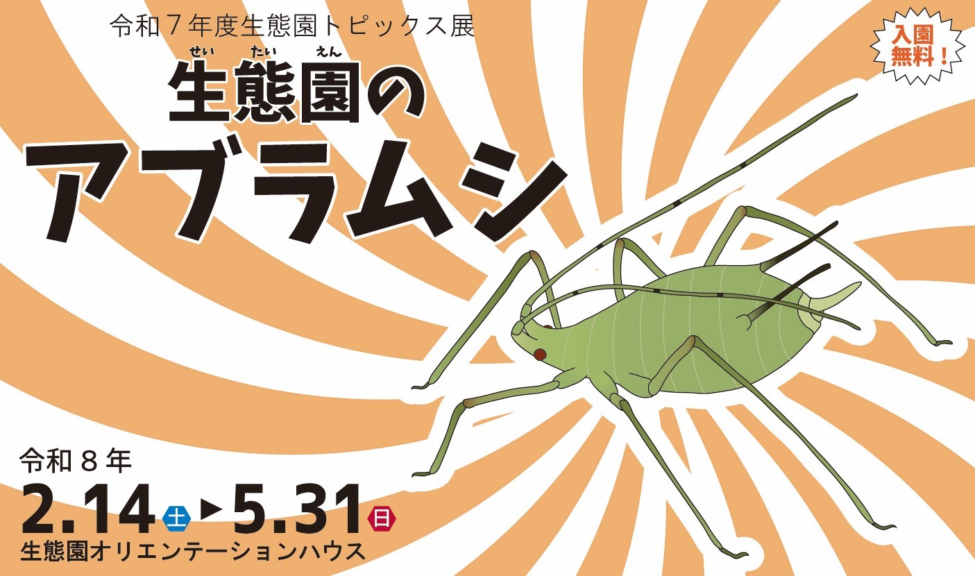 R７年度生態園トピックス展　生態園のアブラムシ
