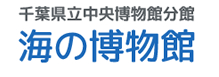 千葉県立中央博物館　海の博物館
