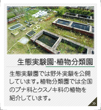 生態実験園・植物分類園