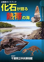 化石が語る熱帯の海