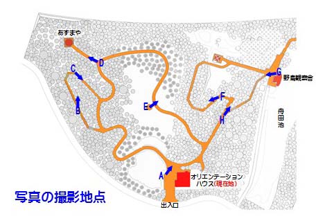 写真の撮影地点の地図