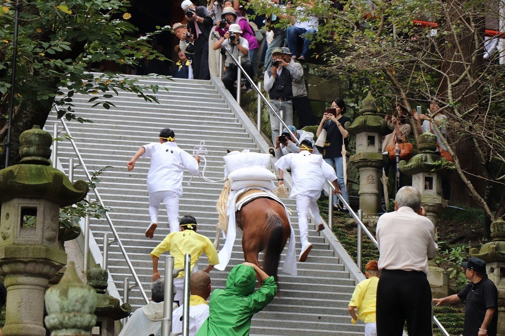 石段を駆け上がる神馬