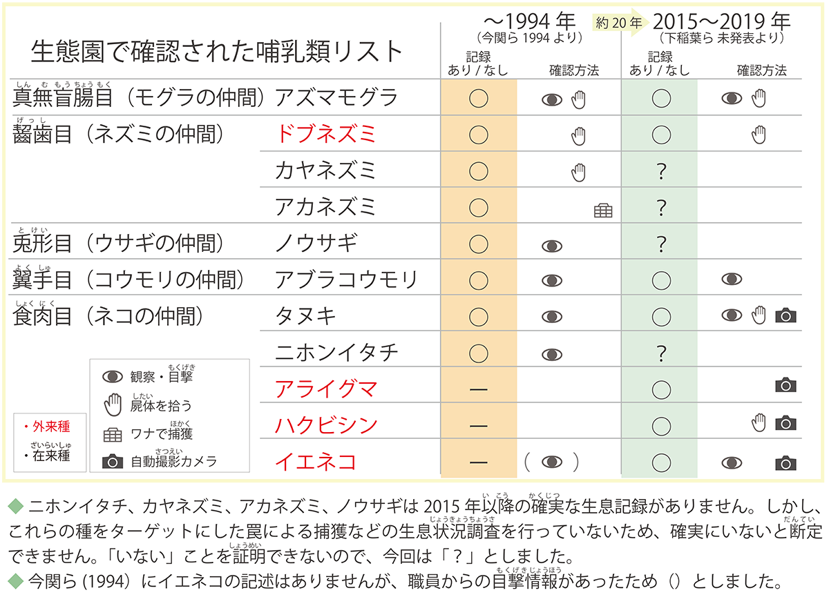 生態園で確認された哺乳類リスト
