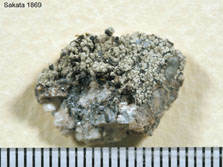 cl