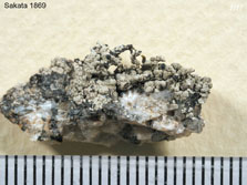 cl