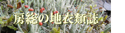 chii-boso