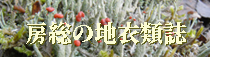 boso