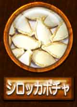 シロッカボチャの種子の画像