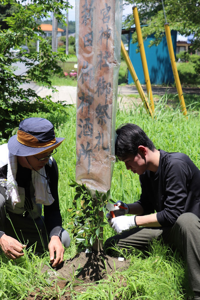 御神酒所の立て札に盛砂をし榊を立てる