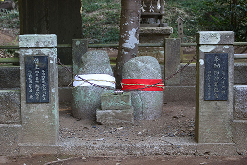 境内の陰陽の石（女男石：めおといし）