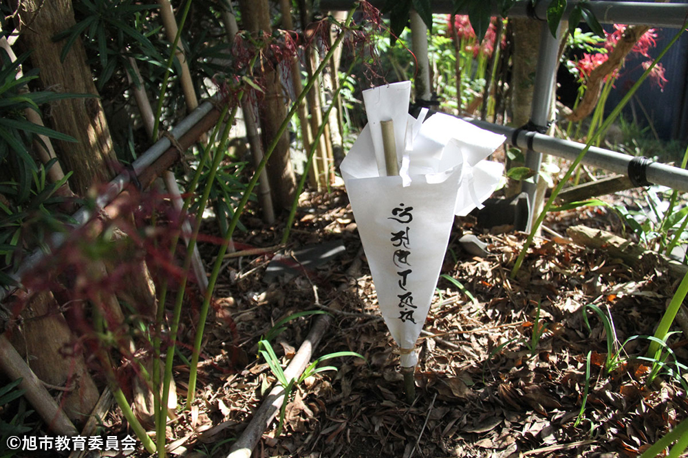 真言が記された幣