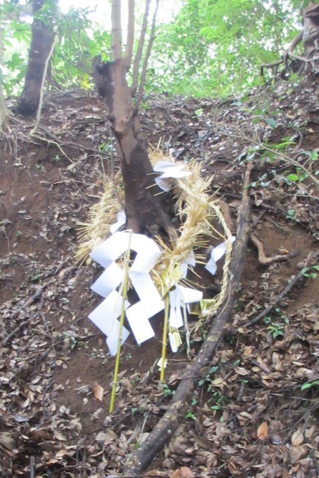 本殿裏の木に巻かれた注連縄