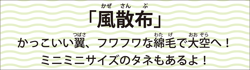 風散布タイトル