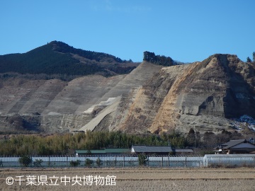 山に見る地層の模様