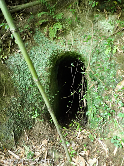 谷津田の奥の台地の下に開いた穴