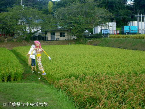 田んぼを彩るカラフルなかかし