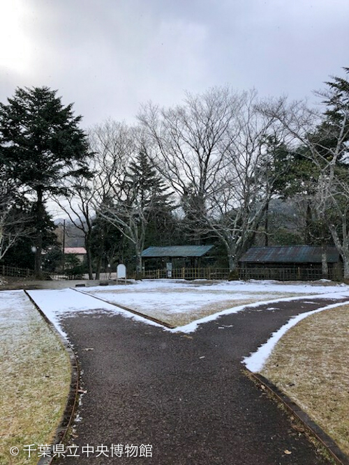 森林館前の雪景色