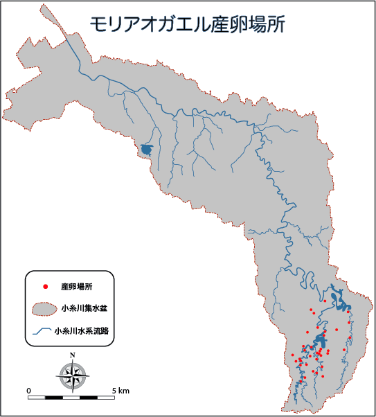 産卵場所