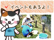 Cxg摜