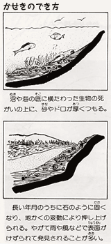 ΂̂ł̉摜