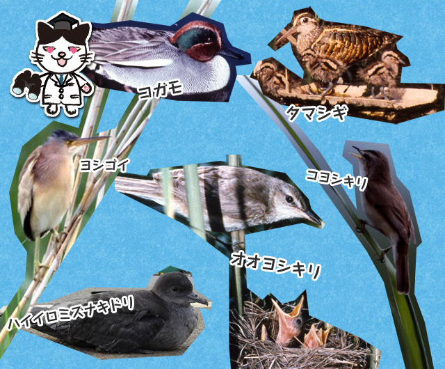 Ƃːɂޒ̎ʐ^