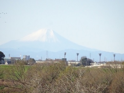 1217fuji