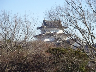 1222関宿城