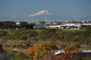 2017年11月22日撮影　（富士と紅葉）