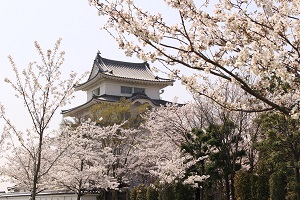 桜と関宿城