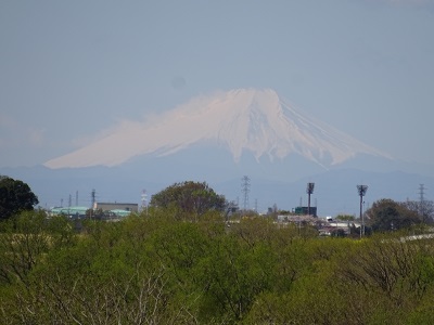 富士山